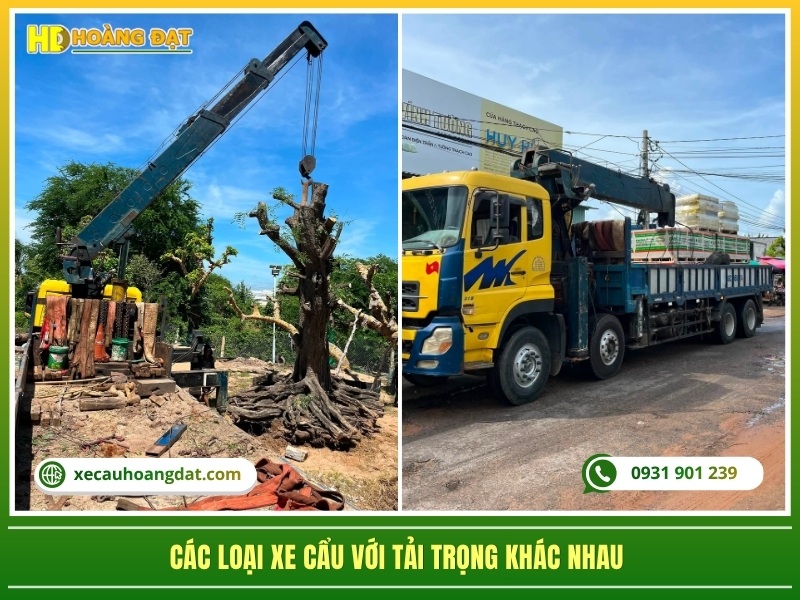 các loại xe cẩu tải trọng khác nhau