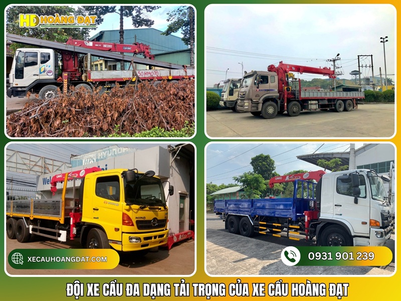 đội xe cẩu đa dạng tải trọng của Xe Cẩu Hoàng Đạt